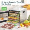 imageCOSORI Food Dehydrator for Jerky 176F Temperature Control 5 Stainless Steel Trays Dryer Machine 4 Presets 48H Timer for Dog Treats Meat Fruit Veggies Snacks Recipe Book IncludedXLSilver